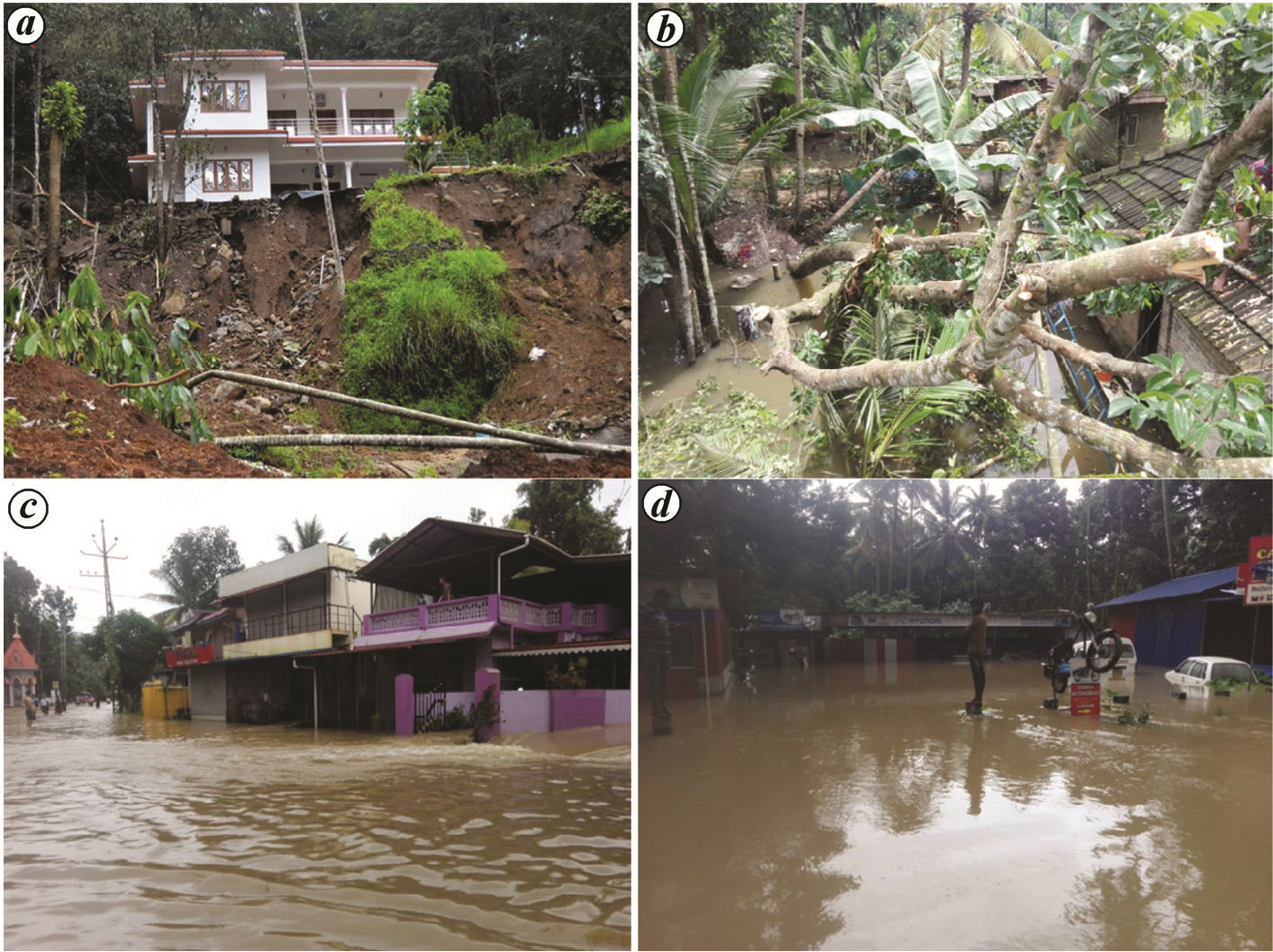 Flood damage assessment photographs from Kerala flood affected regions